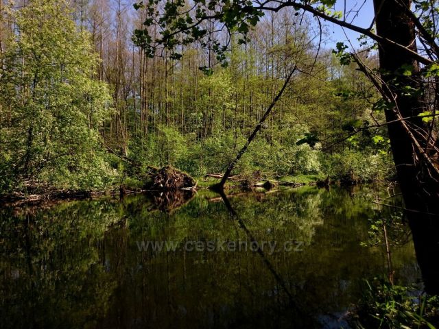 Zrcadlení na Moravě