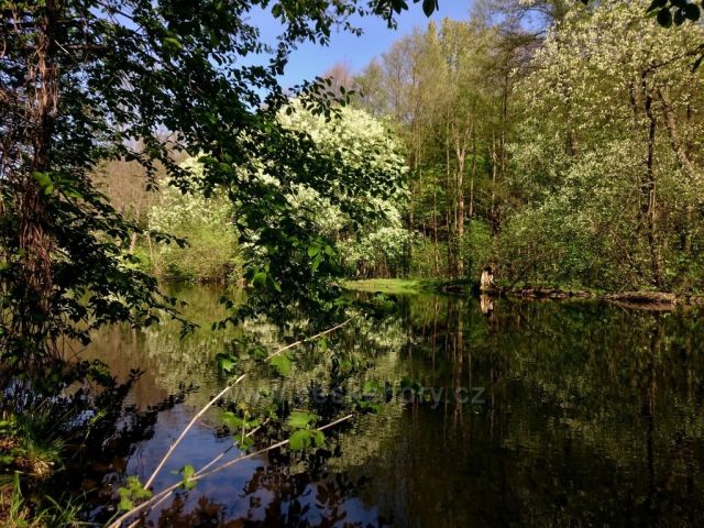 Zrcadlení na Moravě