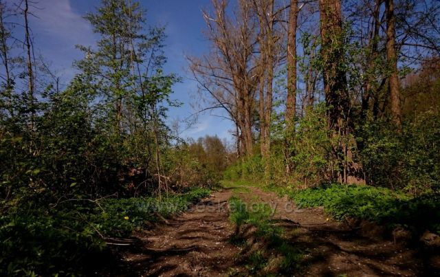 Zrcadlení na Moravě