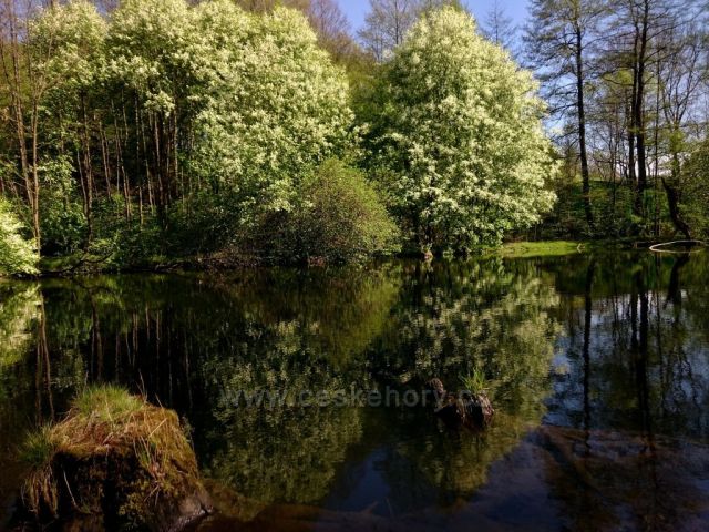 Zrcadlení na Moravě