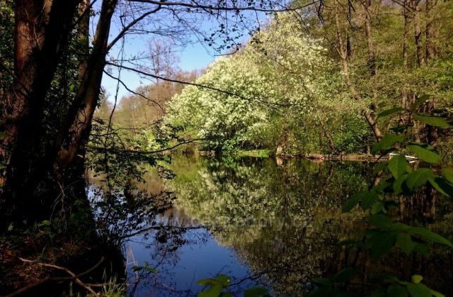 Zrcadlení na Moravě