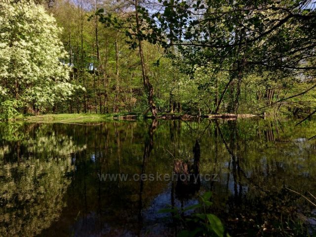 Zrcadlení na Moravě