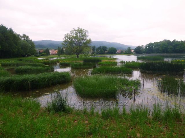 Proboštovský rybník
po rekultivaci