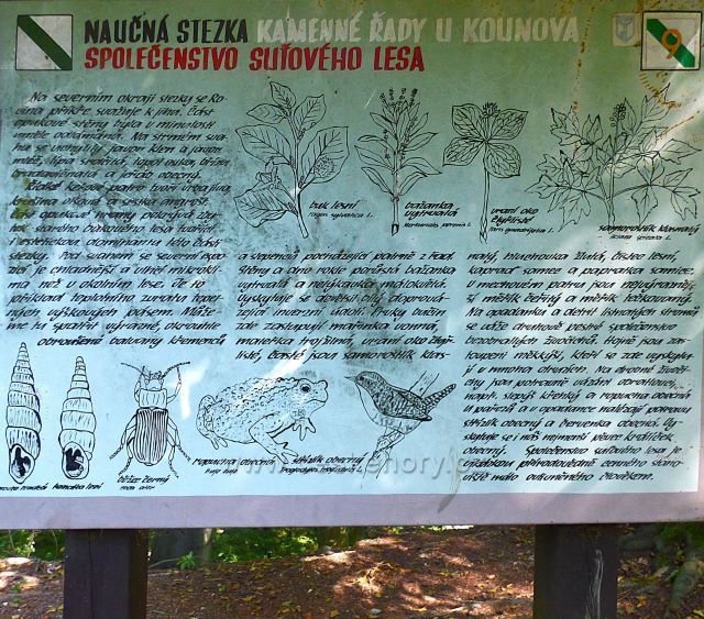 Kounovské kamenné řady