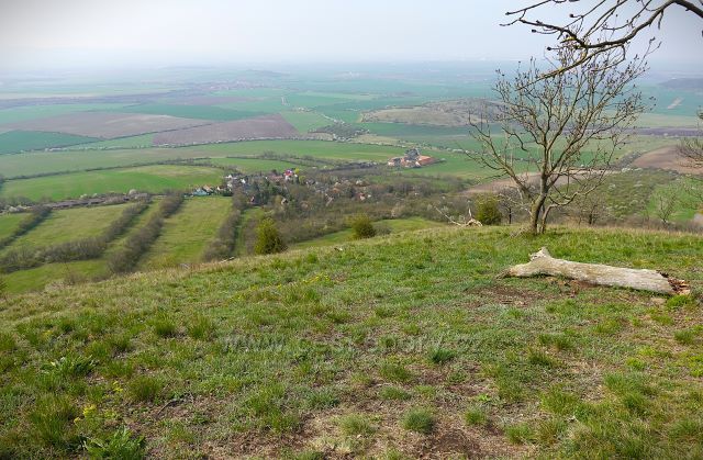 Výhled z vrchu Milá