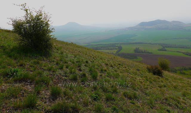 Výhled z vrchu Milá