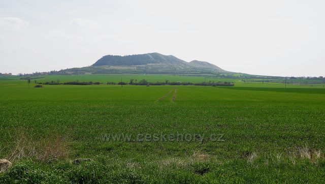 Raná od vrchu Milá