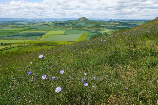 Výhledy z Rané u Loun
