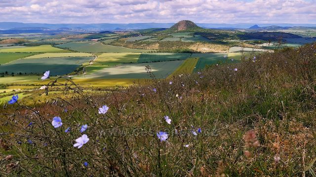 Výhledy z Rané u Loun