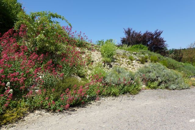 Zámecký park rokokového zámku Nové Hrady
