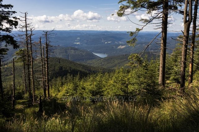 pod vrcholem Lysé hory