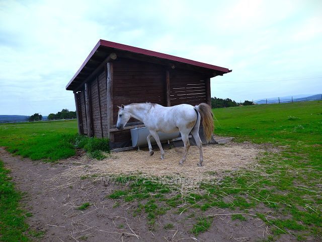 Farma v Domaslavicích