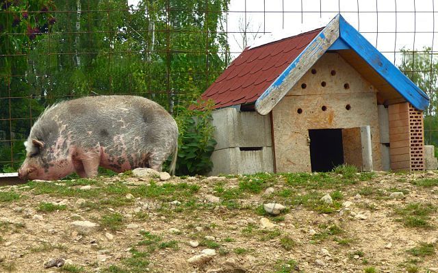 Farma v Domaslavicích