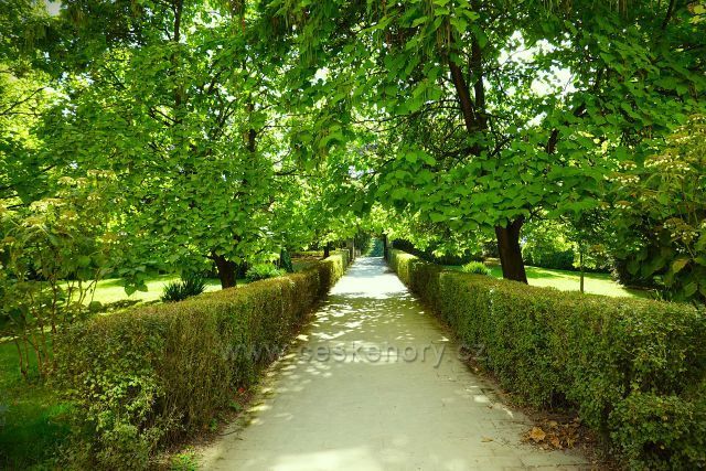 Zámek Častolovice
zámecký park