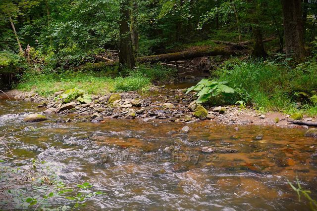 Peklo u Nového Města 
nad Metují
(soutok Metuje a Olešanky)