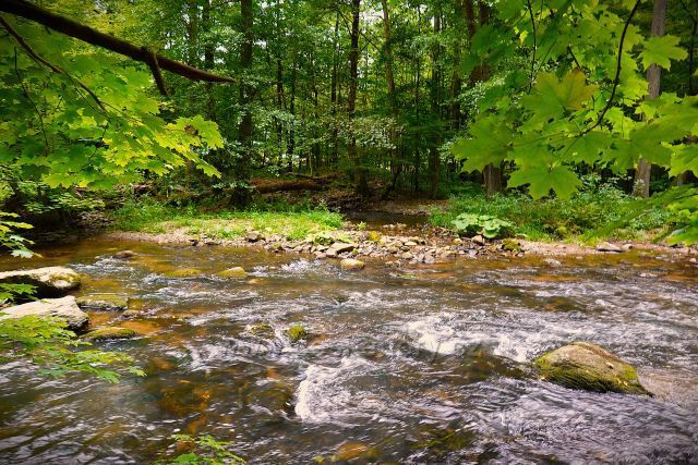 Peklo u Nového Města 
nad Metují
(soutok Metuje a Olešanky)