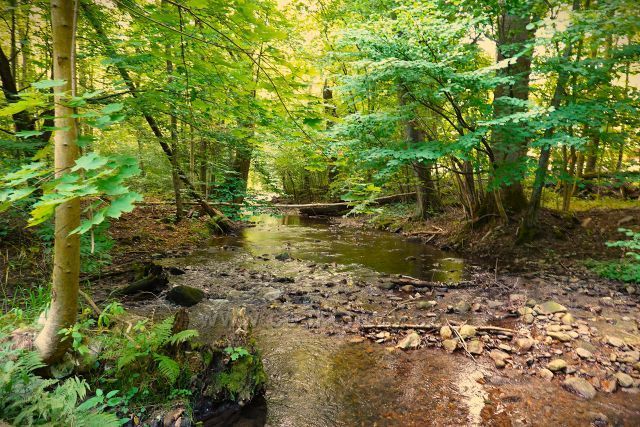 Peklo u Nového Města 
nad Metují