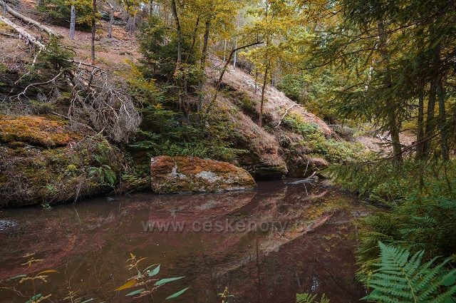 Židova strouha u Bechyně