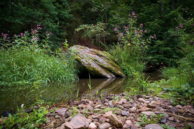 Židova strouha u Bechyně