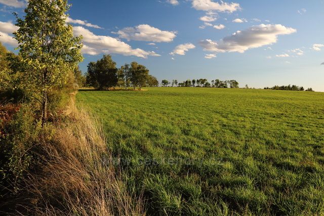 U mosteckého letiště