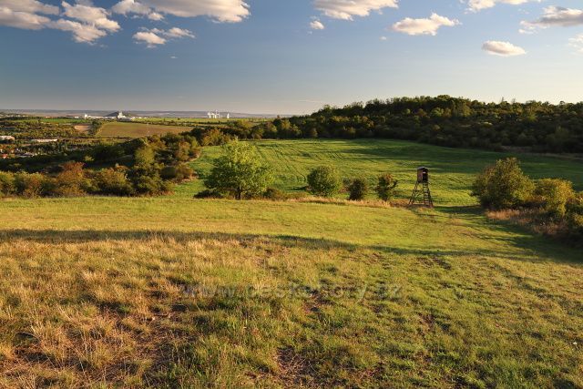 Louky nad Oseckou vinicí