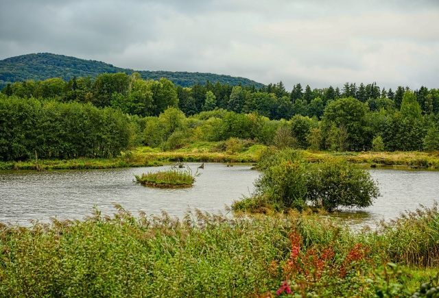 Dračí jezero - ptačí rezervace