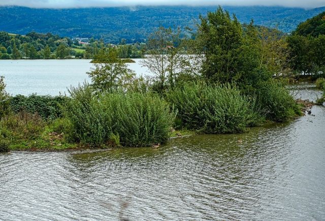 Dračí jezero - pozorování ptáků