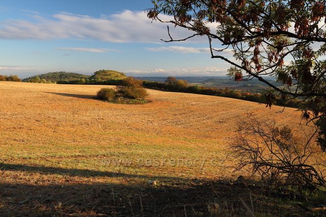 Pole ve Středohoří