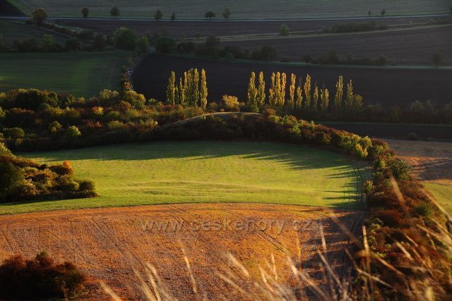 Topoly pod Vraníkem