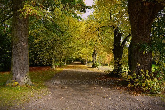 Ploskovice zámecký park Ploskovice zámecký park