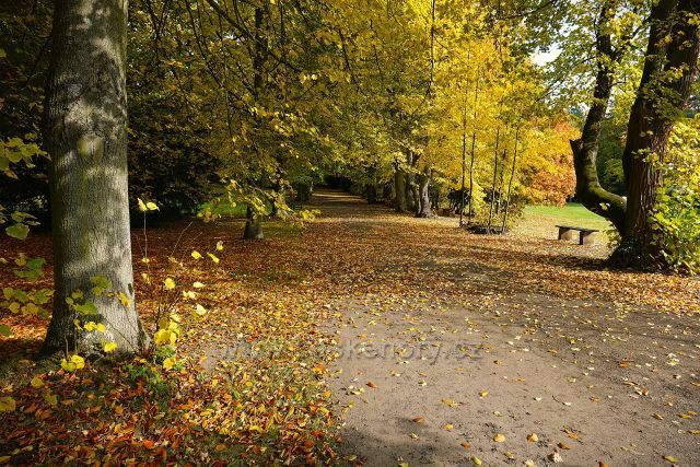 Ploskovice zámecký park