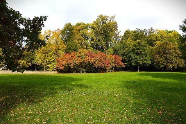 Ploskovice zámecký park Ploskovice zámecký park