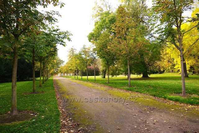 Ploskovice zámecký park Ploskovice zámecký park
