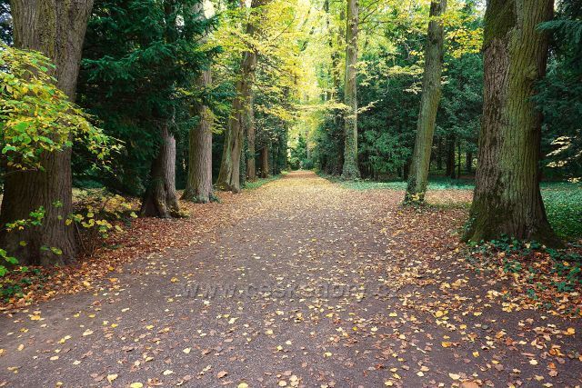Ploskovice zámecký park Ploskovice zámecký park