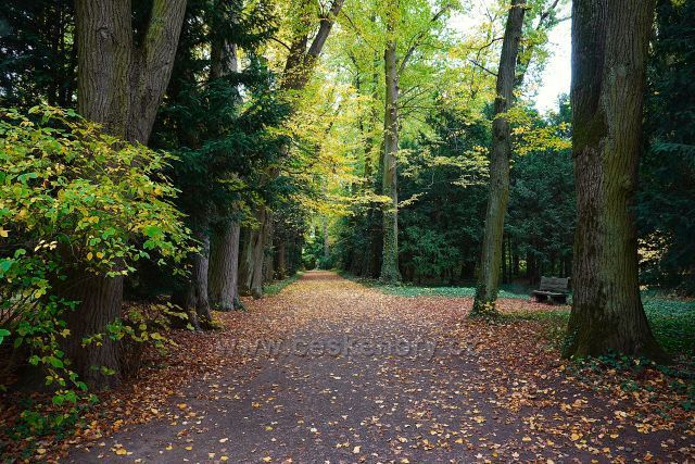 Ploskovice zámecký park Ploskovice zámecký park