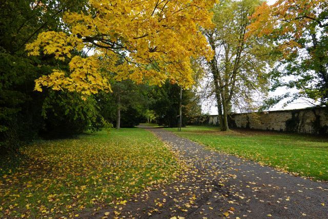 Ploskovice zámecký park Ploskovice zámecký park
