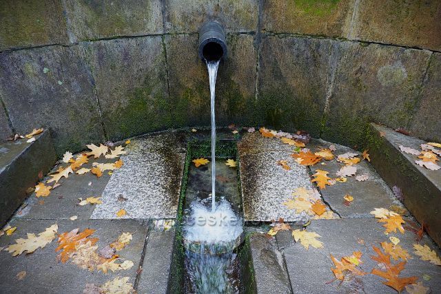 Studánka sv. Zdislavy