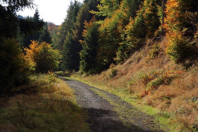 Cesta Bezručovo údolím