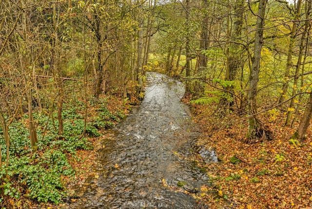 Ostružná. Blízko Werichovy chaty.