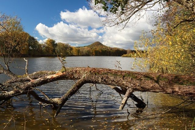 Výhled na Ronov od Dolanského rybníka