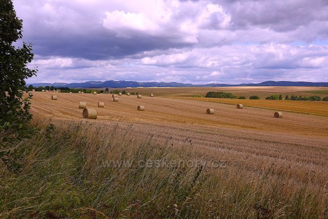 Pole pod vrchem Koruna