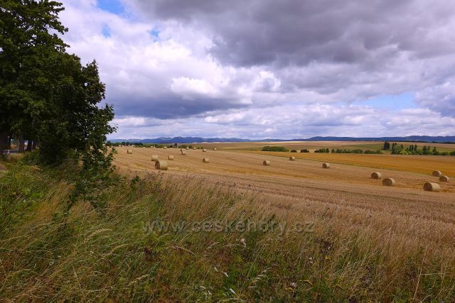 Pole pod vrchem Koruna