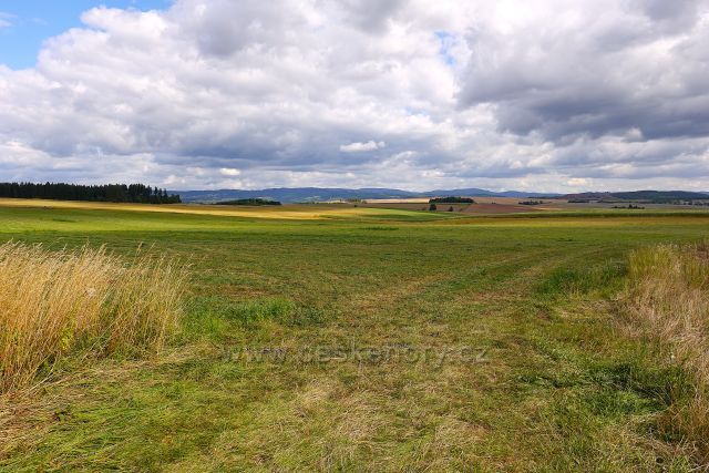 Pole pod vrchem Koruna