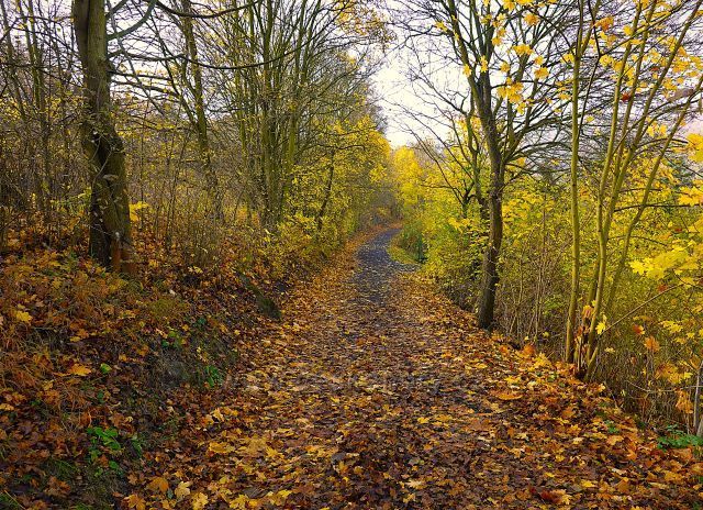 Barevné variace na Bořni