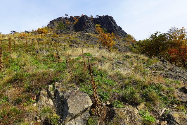 Barevné variace na Bořni