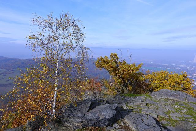 Barevné variace na Bořni