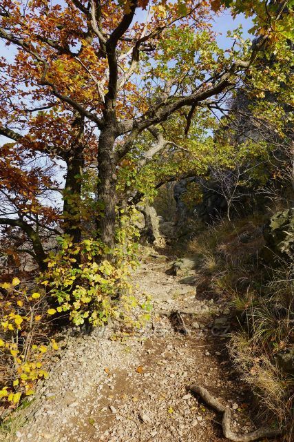 Barevné variace na Bořni