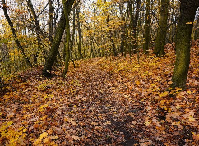 Barevné variace na Bořni