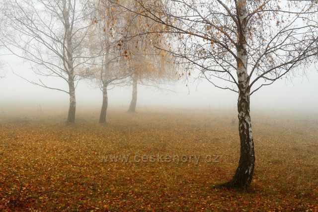 Pastviny pod Milešovkou