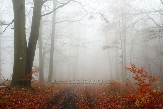 Cesta na úpatí Milešovky